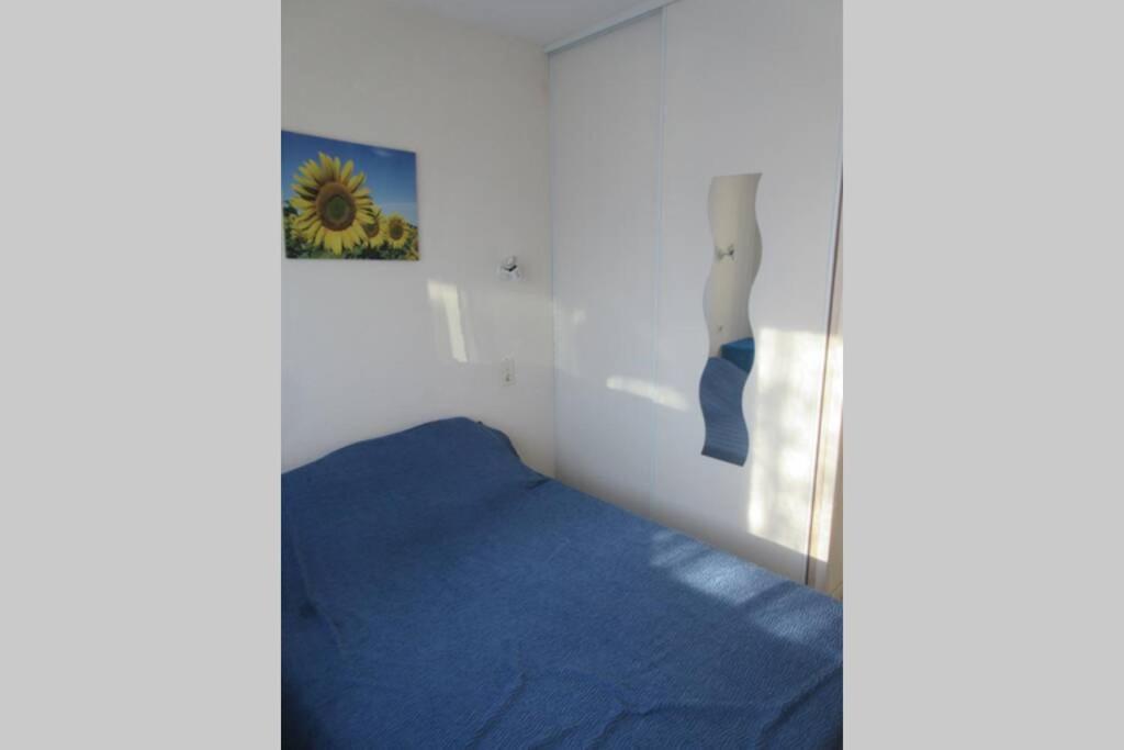 Apt Climatise T3 Saint Pierre La Mer, Terrasse, Jardin Et Parking Prive Fleury  Εξωτερικό φωτογραφία